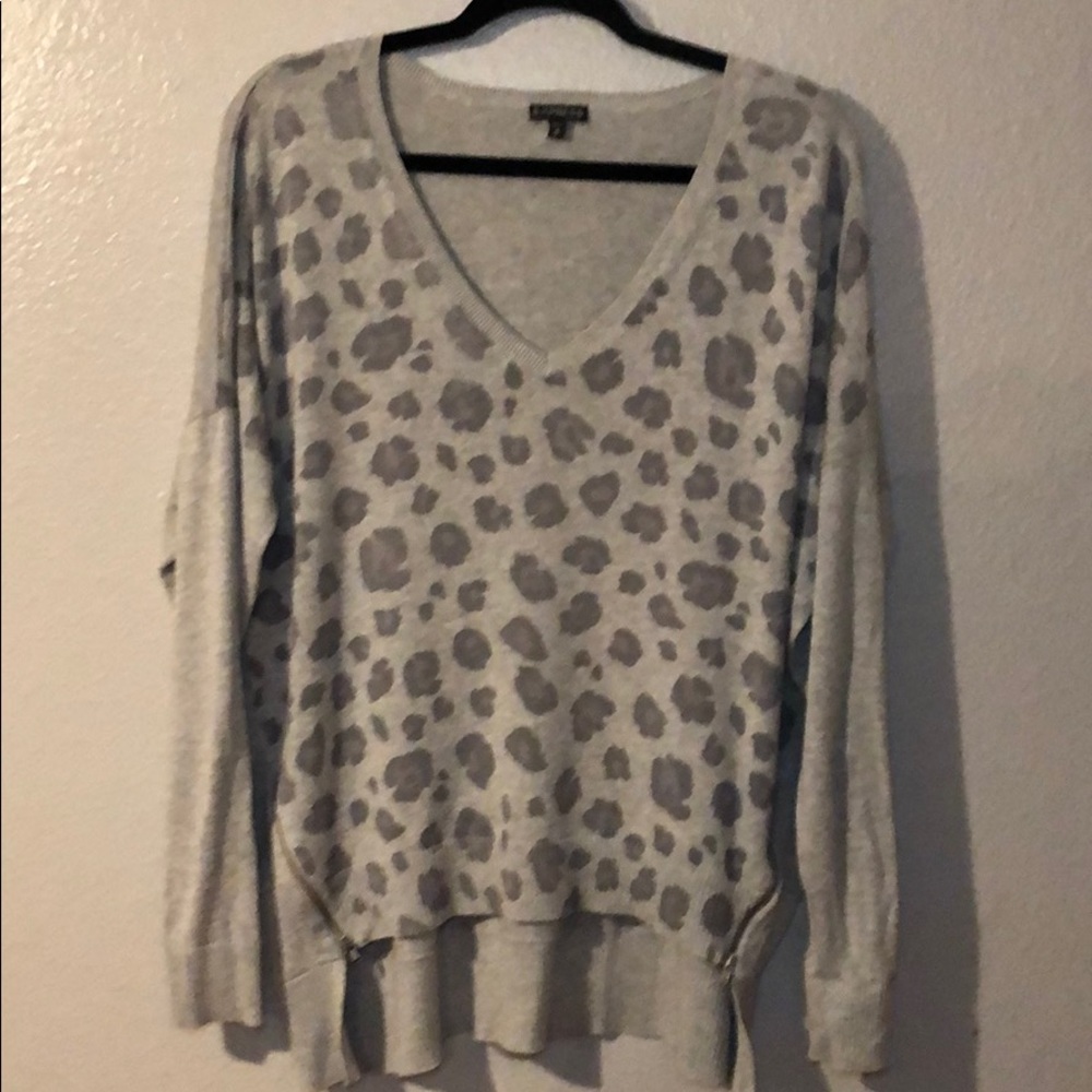 Express Cheetah Sweater